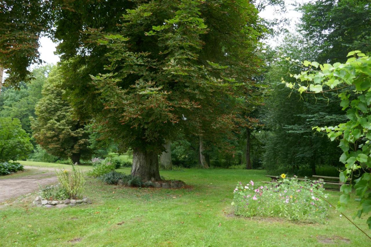 Kolzow Landhaus Schloss Koelzow מראה חיצוני תמונה