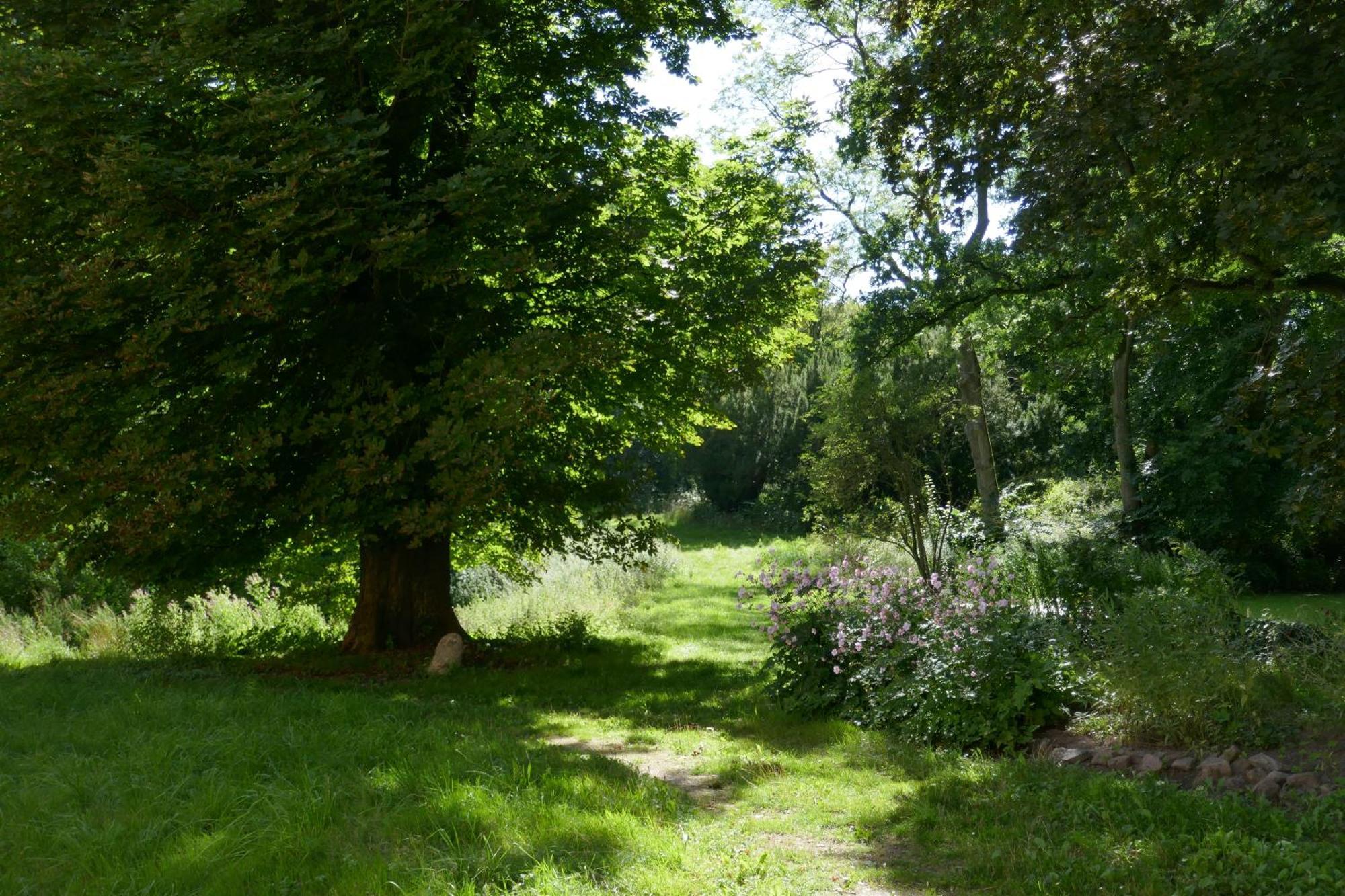 Kolzow Landhaus Schloss Koelzow מראה חיצוני תמונה